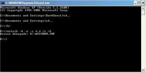 Captura de pantalla de CMD con el desbloqueo archivos ocultos