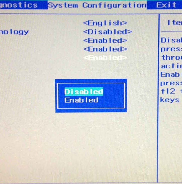 Bios - Action Keys Mode