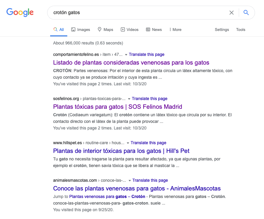 Resultados que Google muestra cuando se buscan plantas que son tóxicas para mascotas